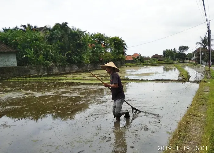 Bhuana Alit 2