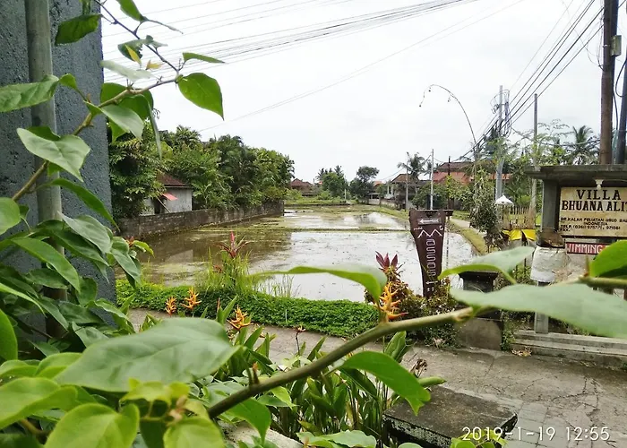 Bhuana Alit 2